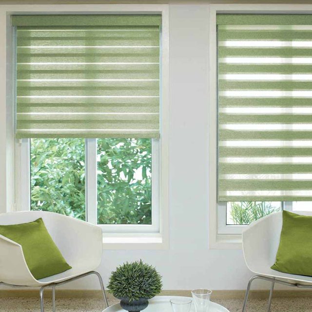 Reagan-Lime-Duplex-Blind